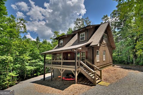 A home in Mineral Bluff