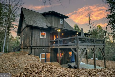 A home in Mineral Bluff