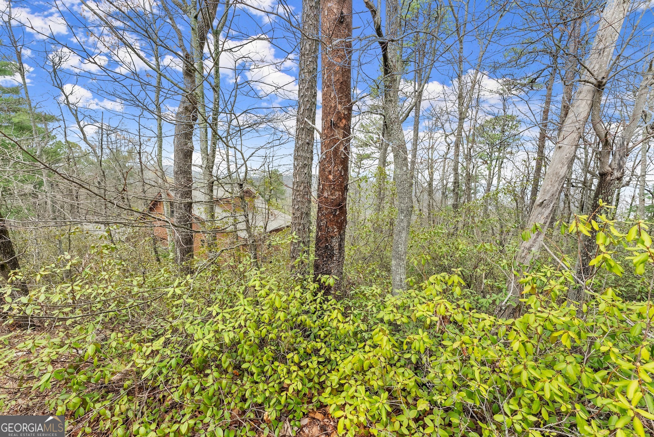 LOT 54 Tallulah View