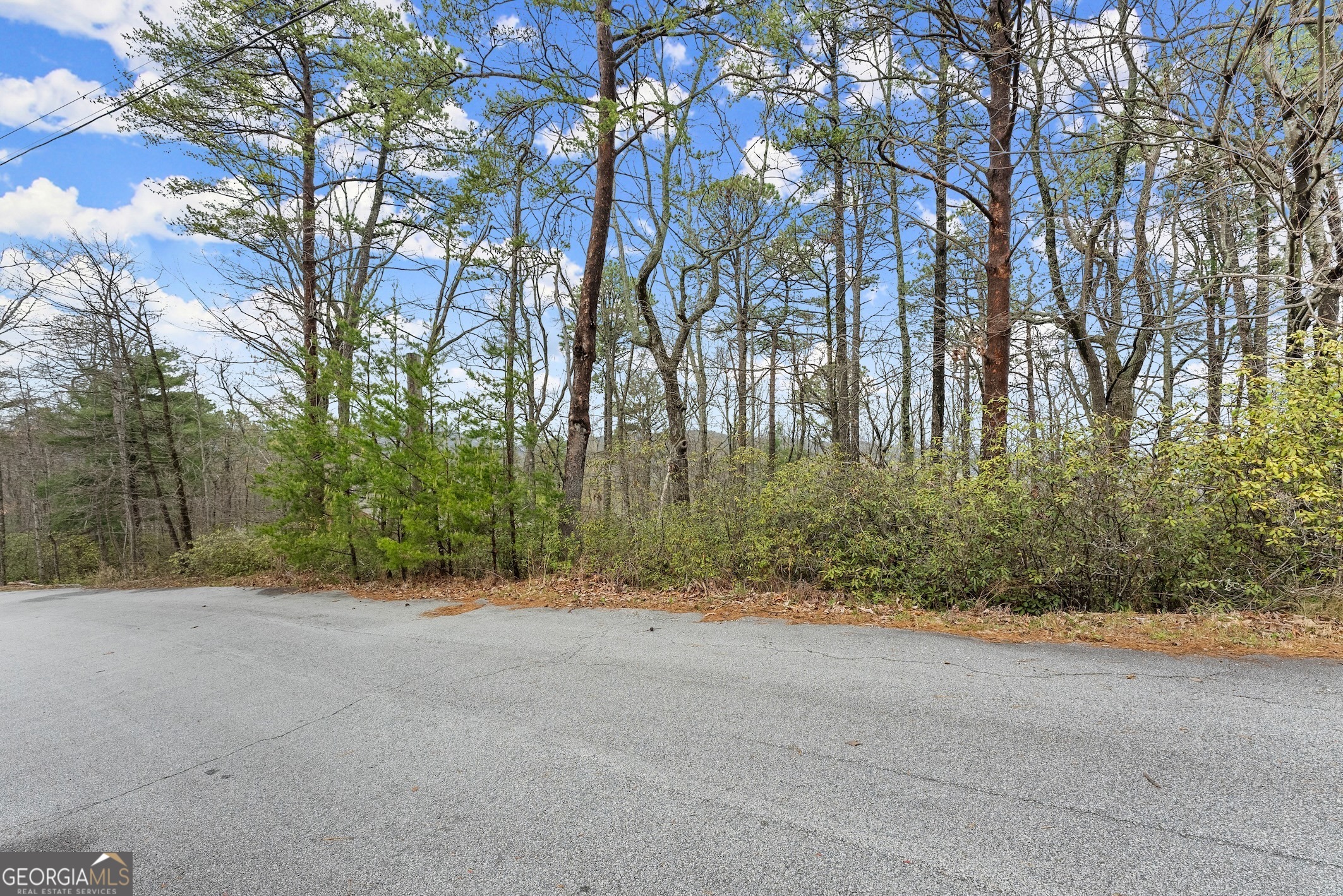 LOT 54 Tallulah View