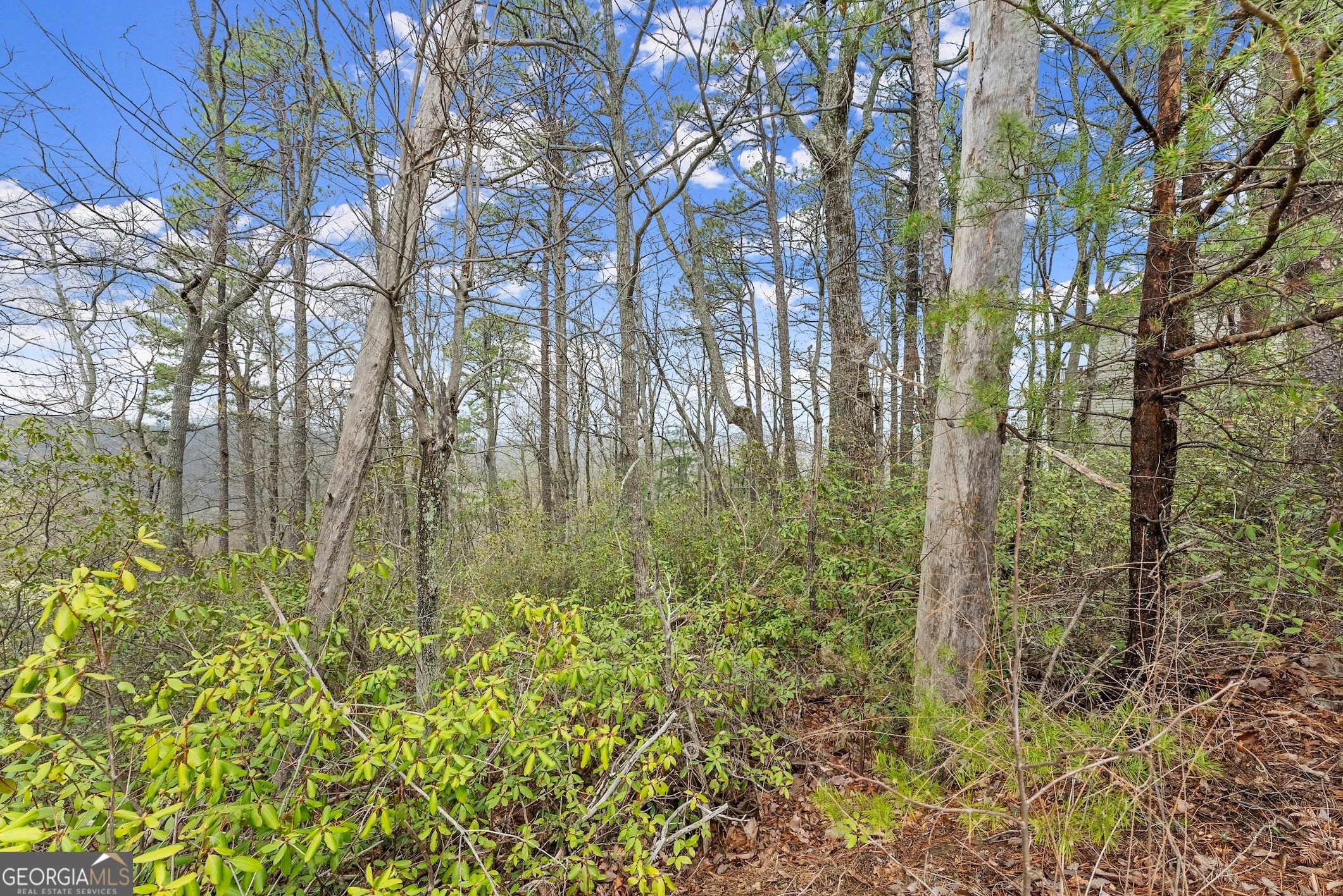 LOT 54 Tallulah View