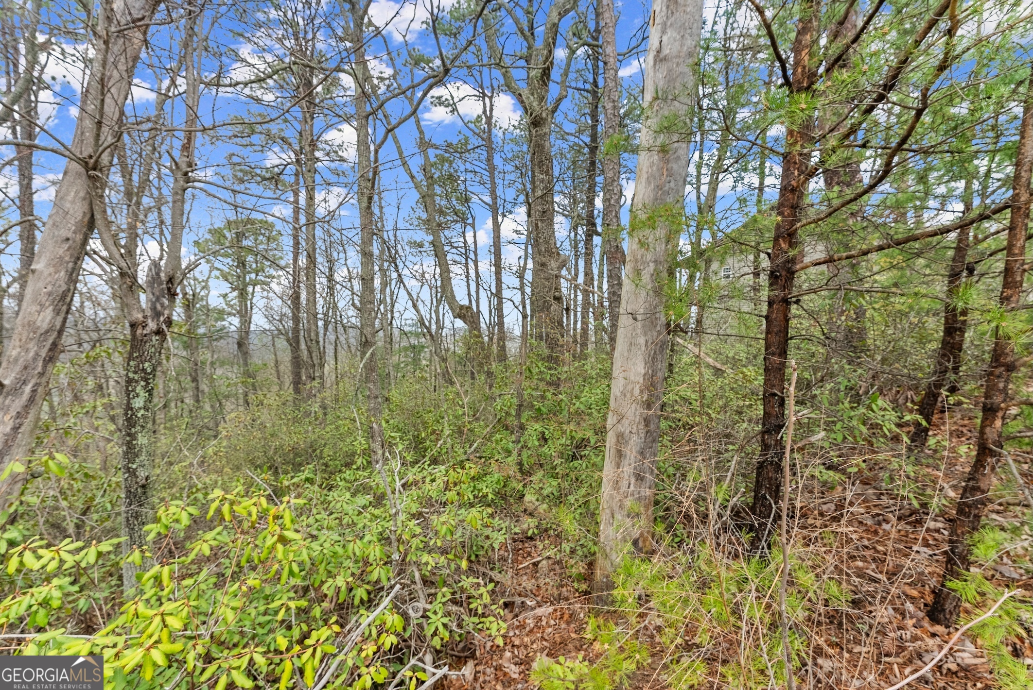 LOT 54 Tallulah View