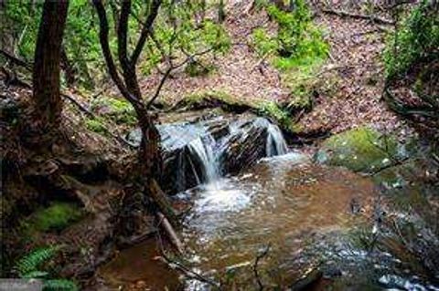 0 Jones RD Ball Ground GA 30107