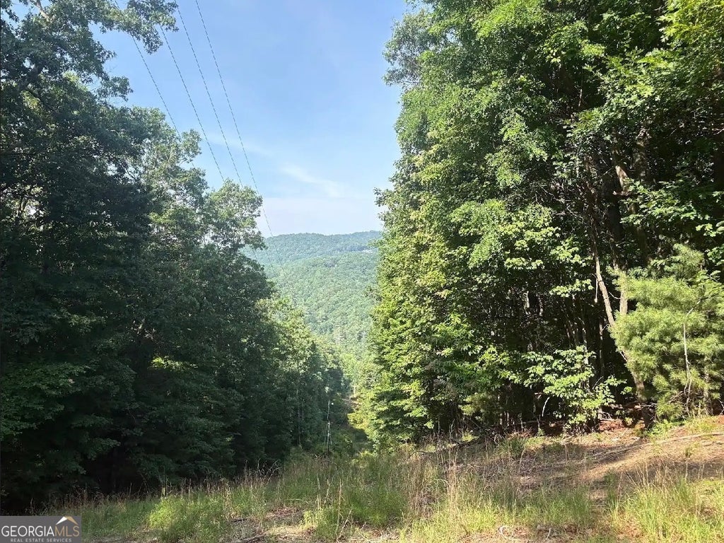 Photo of 00 Laurel Branch Drive, Jasper, GA 30143 (MLS # 10799207)