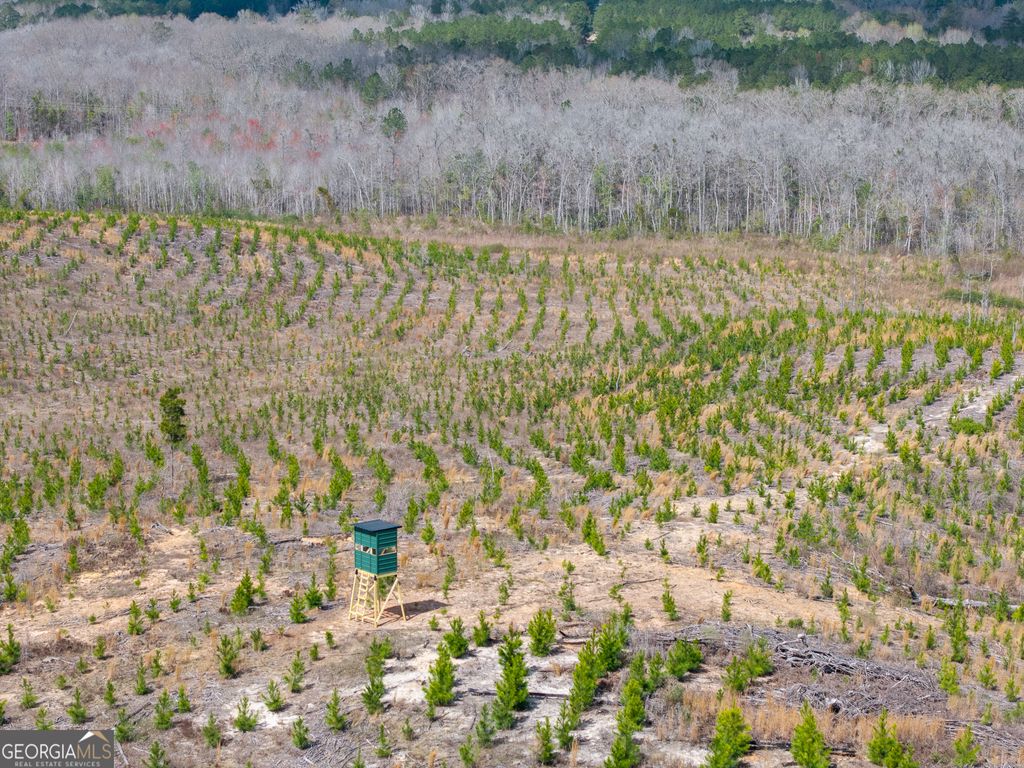 Photo of 3 Laurel Branch Road, Gordon, GA 31031 (MLS # 10712447)