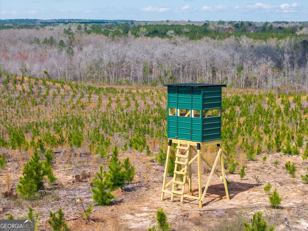 Photo of 3 Laurel Branch Road, Gordon, GA 31031 (MLS # 10712447)