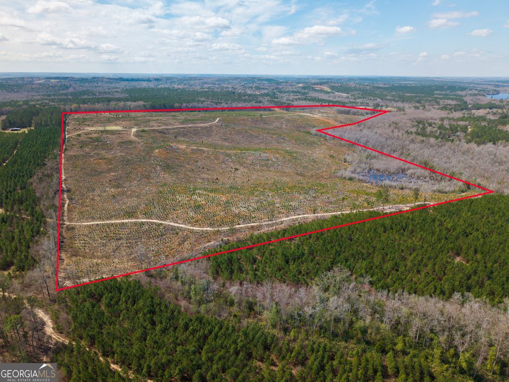 Photo of 3 Laurel Branch Road, Gordon, GA 31031 (MLS # 10712447)