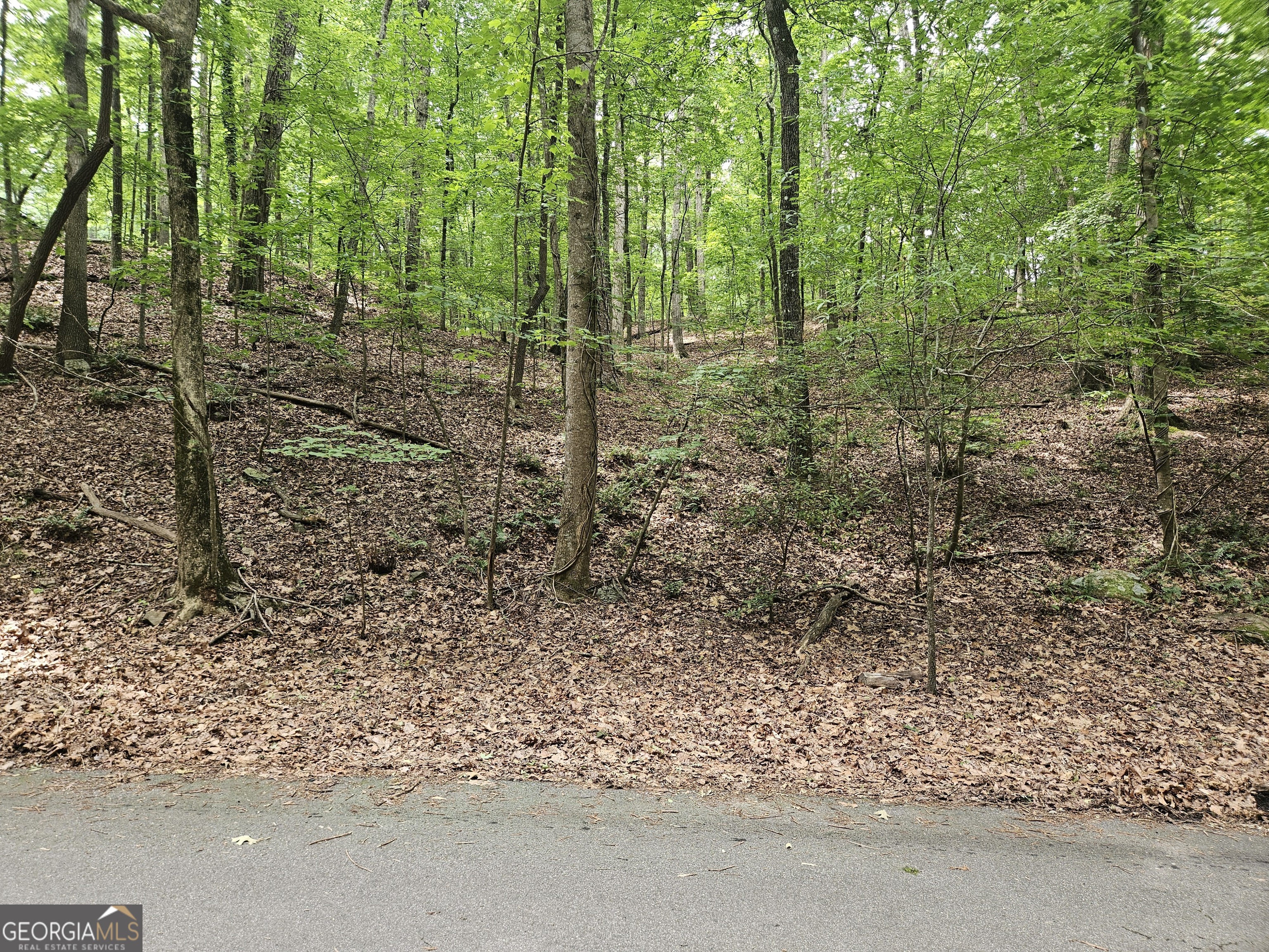 13 Ball Creek WAY