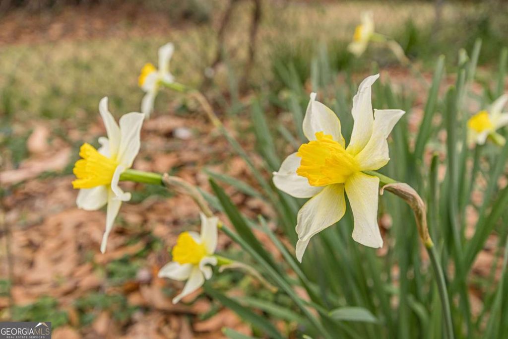 Photo of 1773 Dorsey Avenue, East Point, GA 30344 (MLS # 10711486)