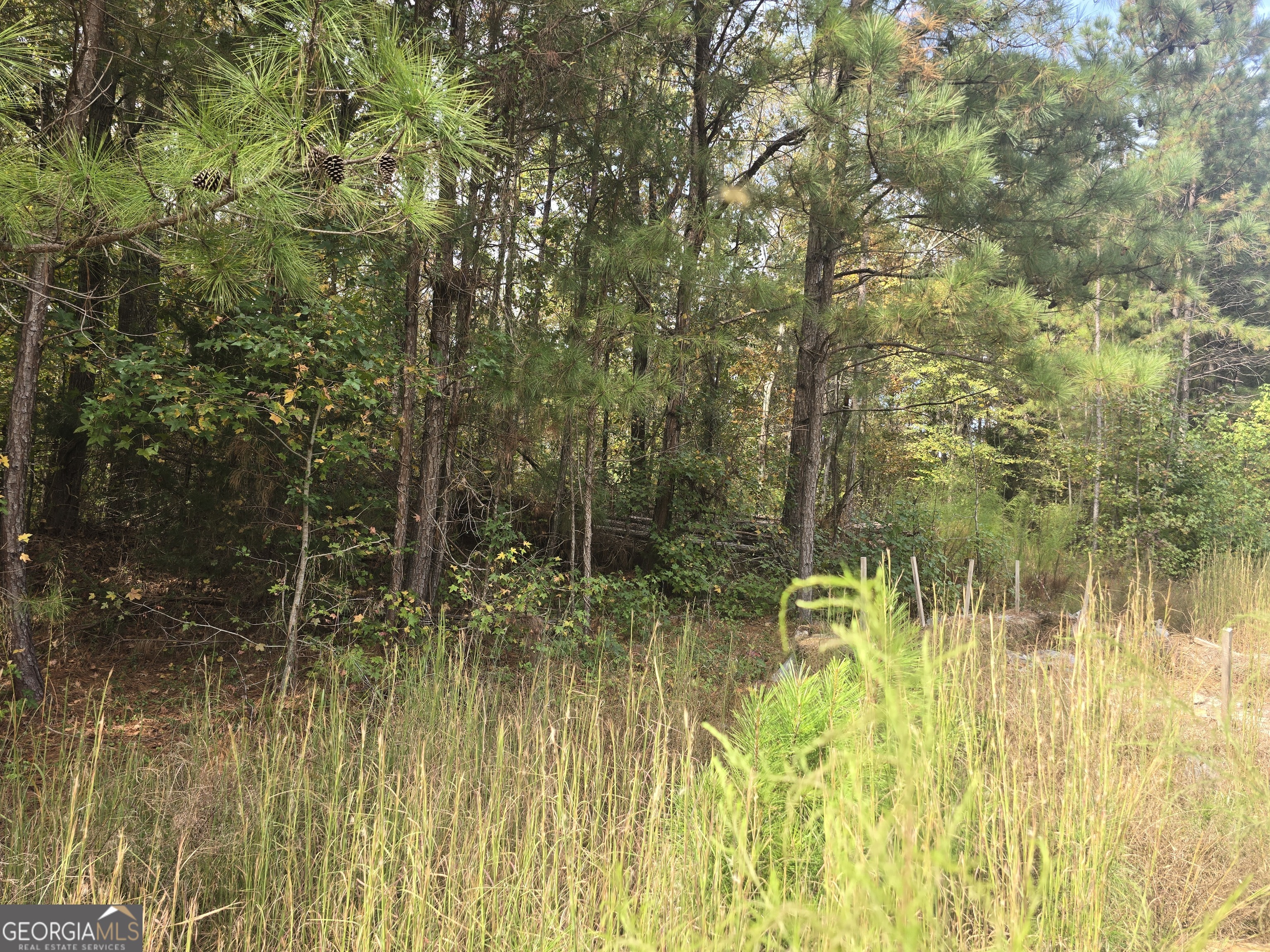 Jackson, Georgia 30233, United States, ,Land,Active,231140