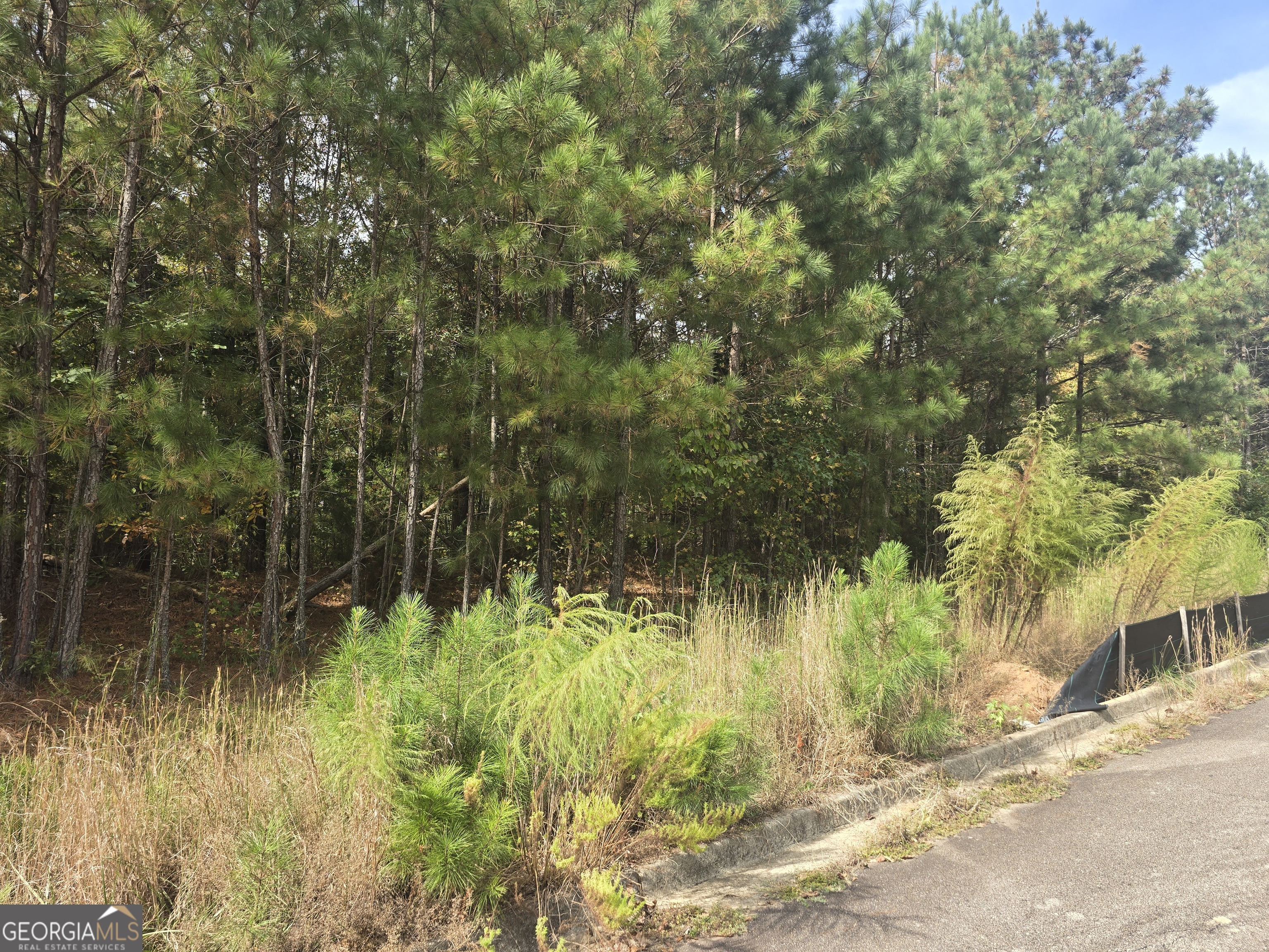 Jackson, Georgia 30233, United States, ,Land,Active,231140