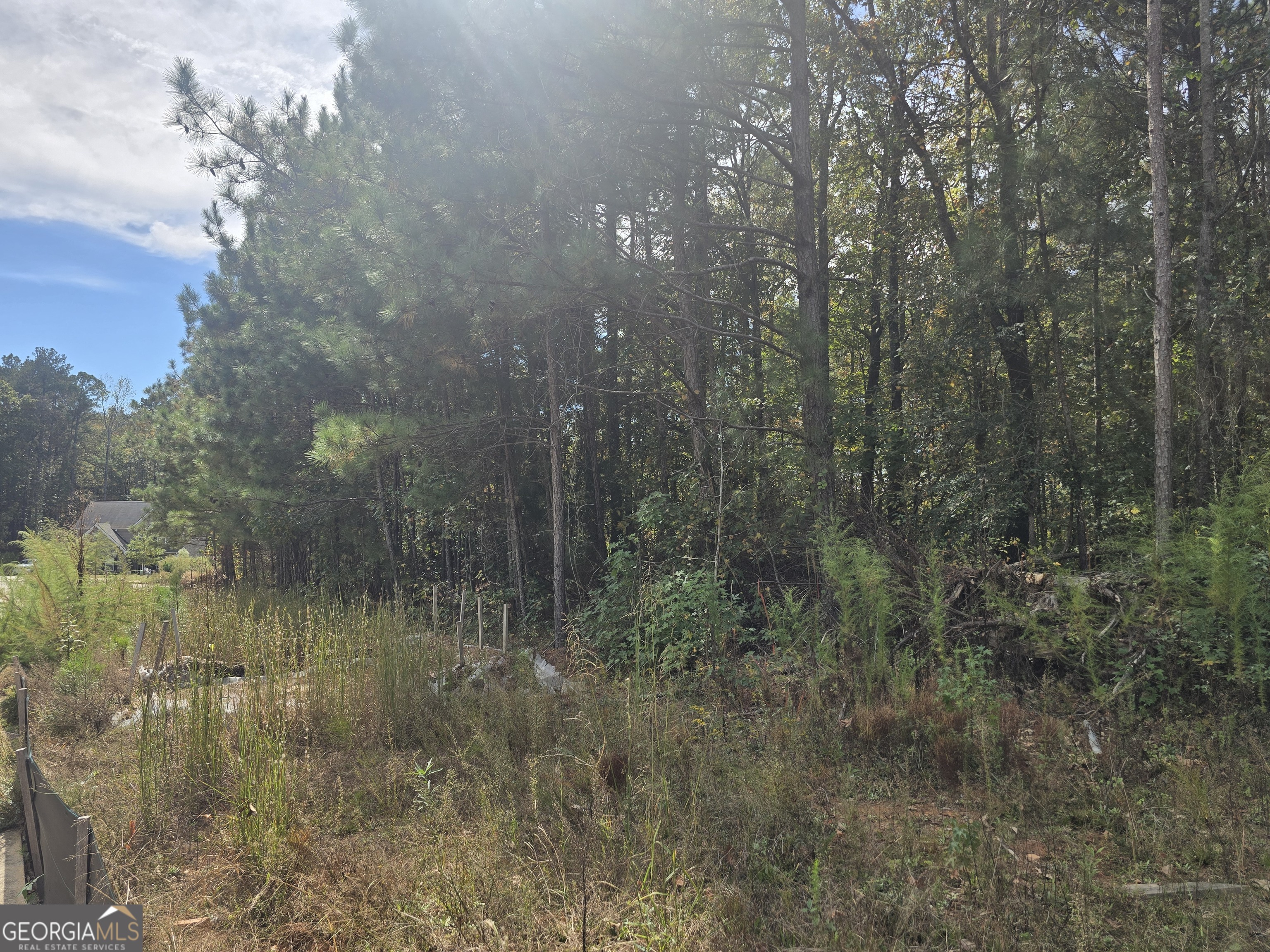 Jackson, Georgia 30233, United States, ,Land,Active,231140