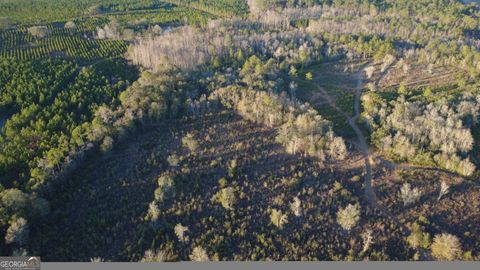 3376 Pine Cone TRL Mershon GA 31551