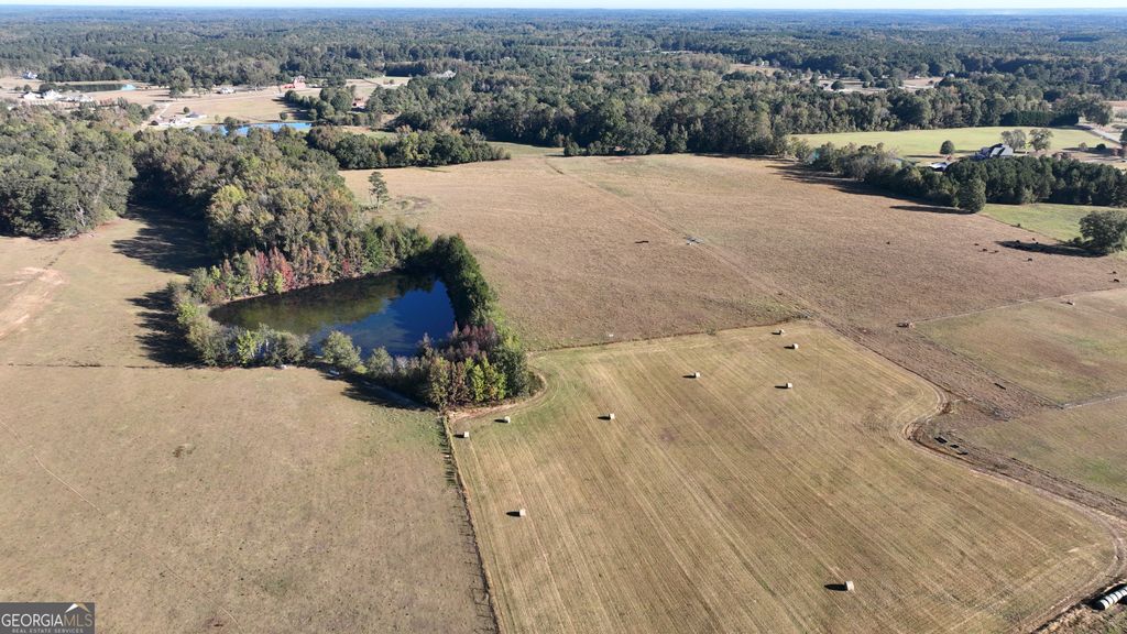 Photo of 5 Mask Road - Hanner's Farm North, Brooks, GA 30205 (MLS # 10766968)