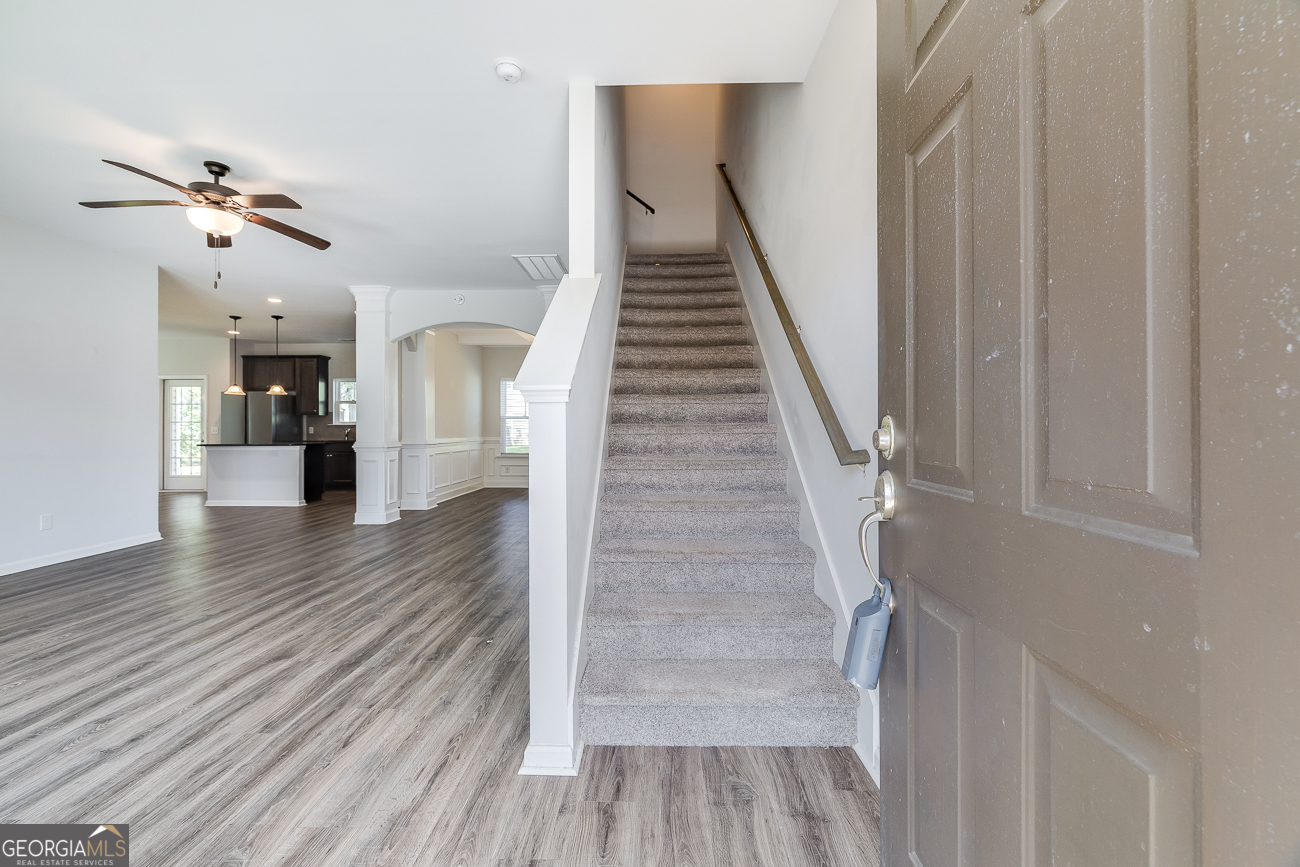 24 Swallow Tail CIR
