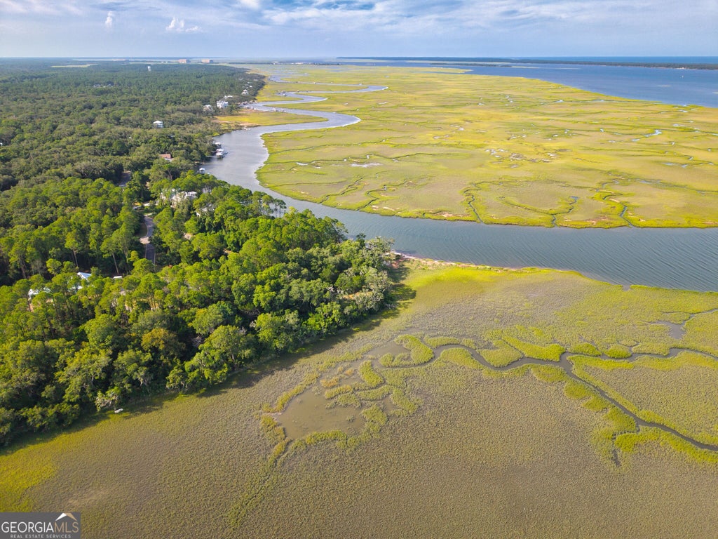 Photo of 202 Cobia Lane, St. Marys, GA 31558 (MLS # 10866856)