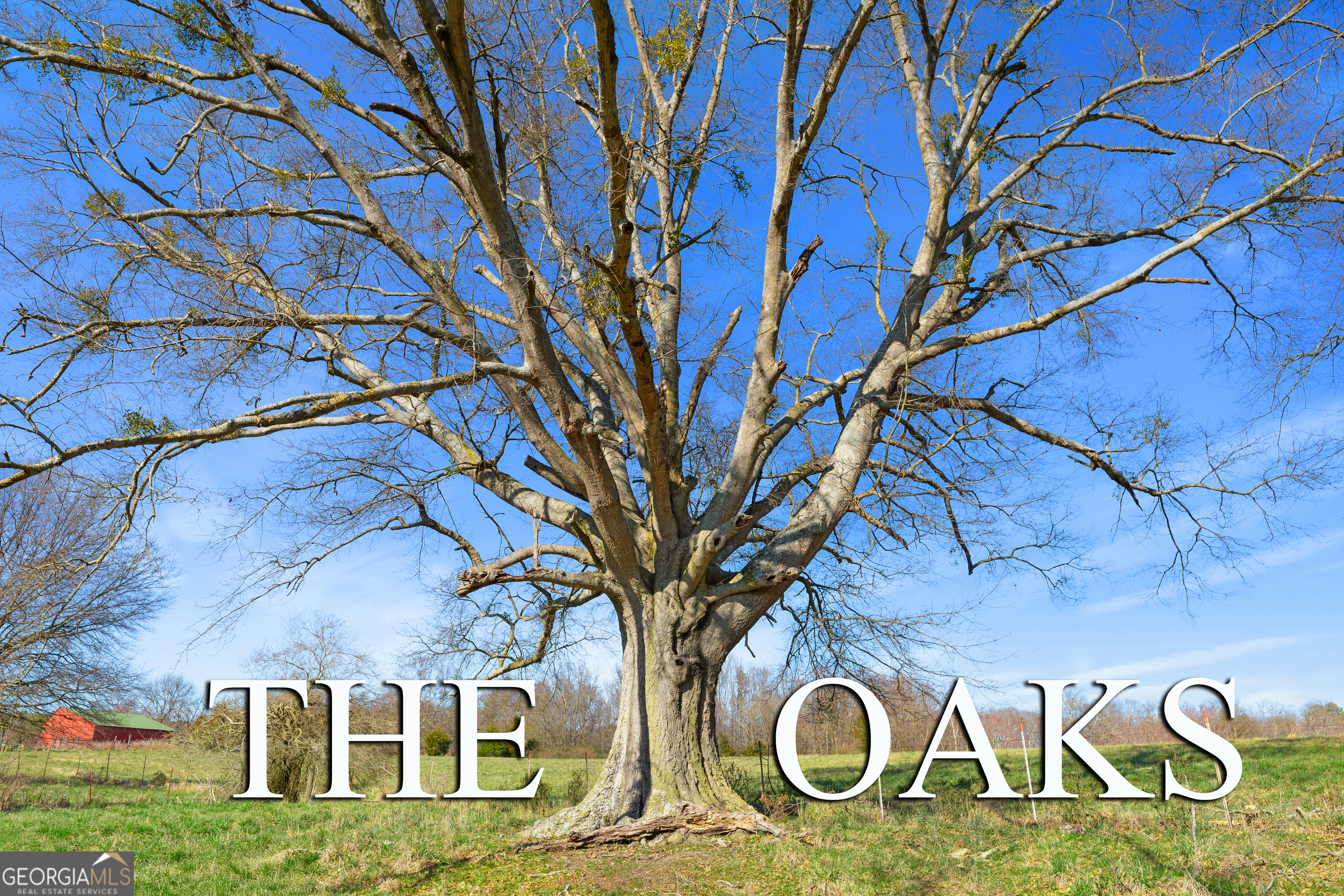3 The Oaks DR
