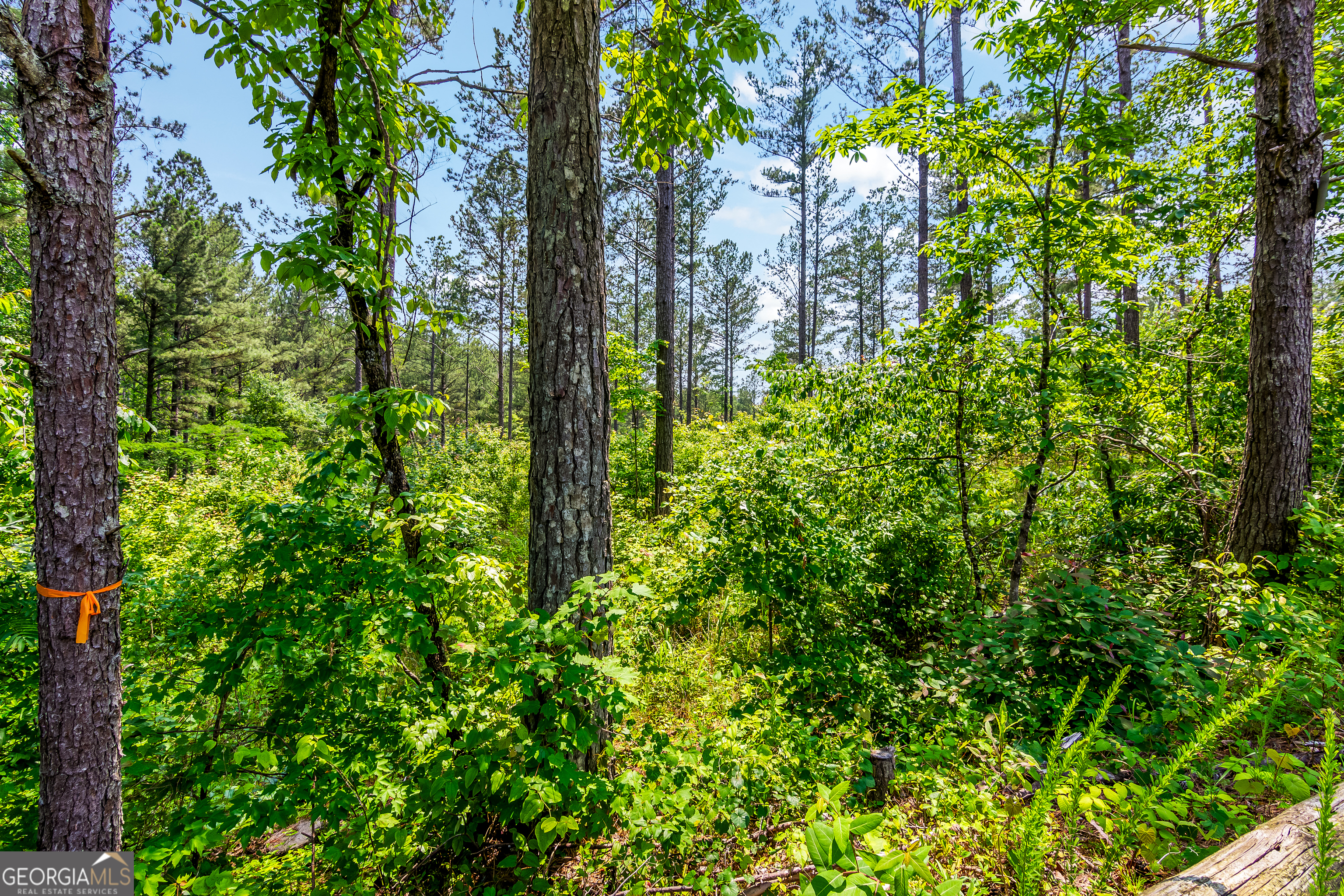 32 Oak Hill Road