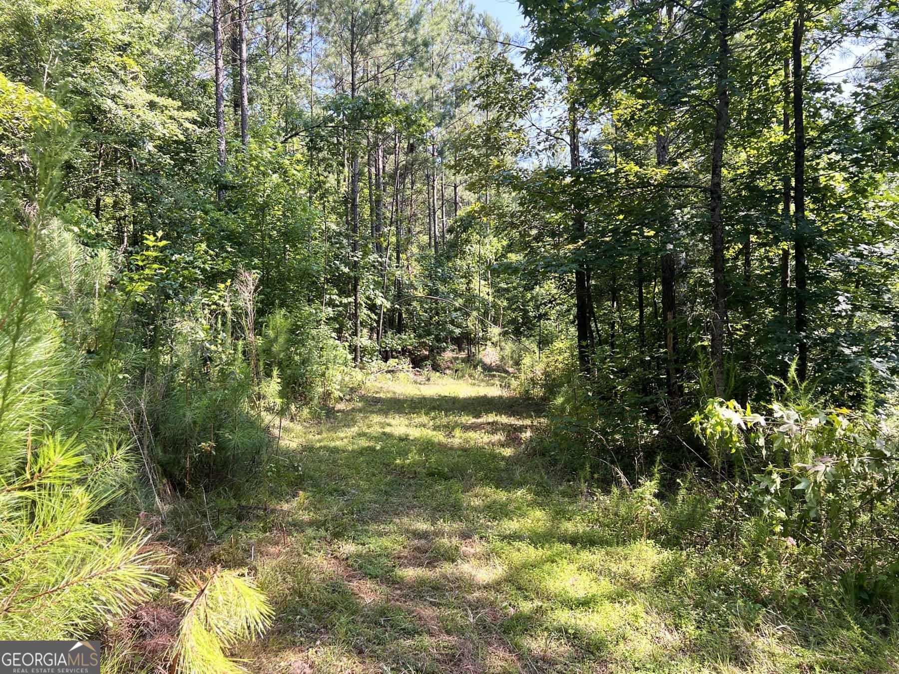 0 Booger Hollow RD