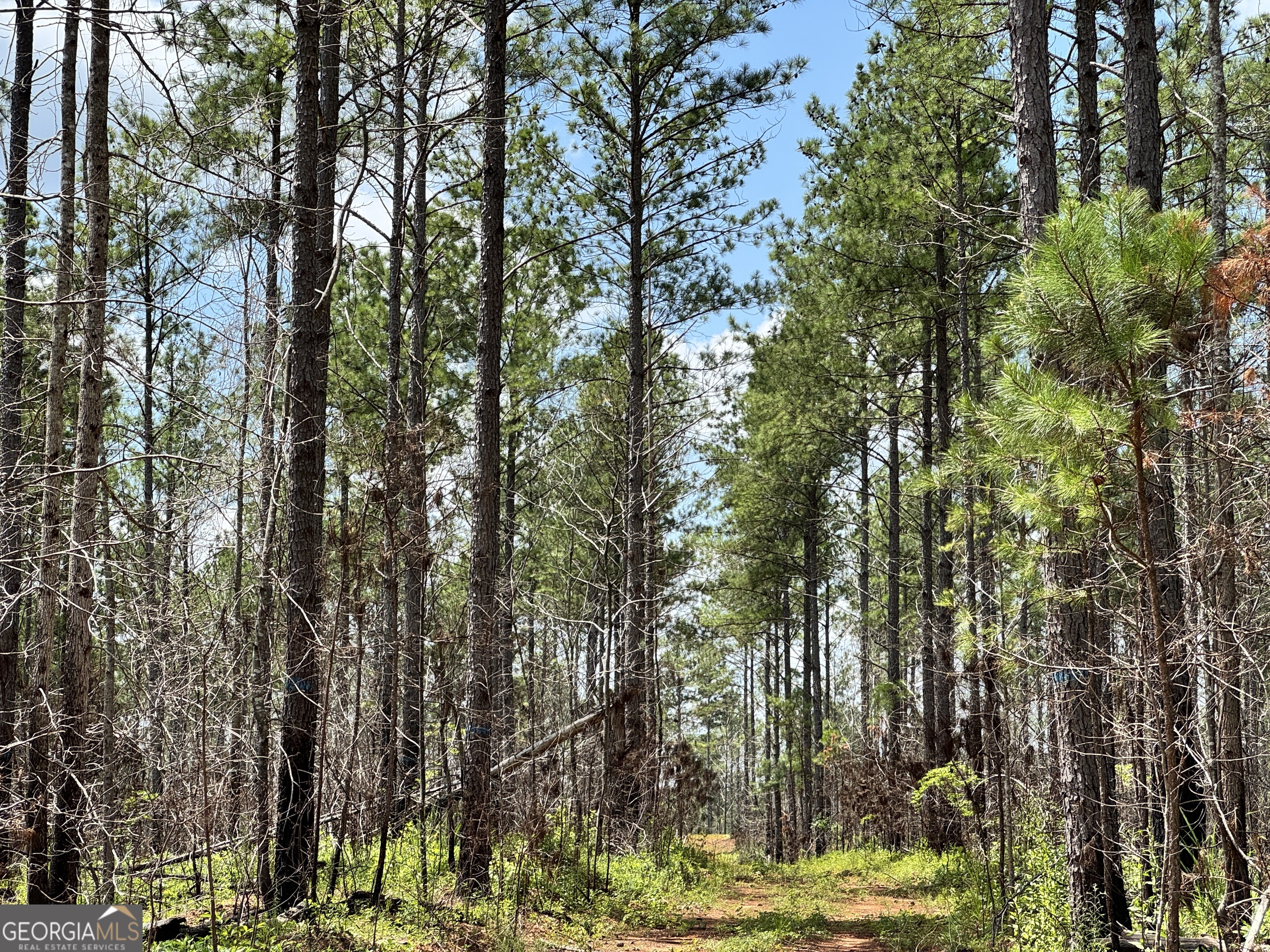 140+/- AC Hwy 100