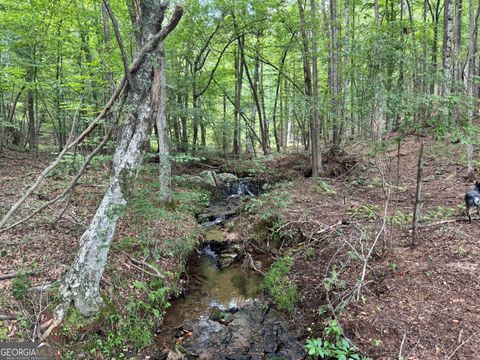 140+/- AC Hwy 100 Franklin GA 30217