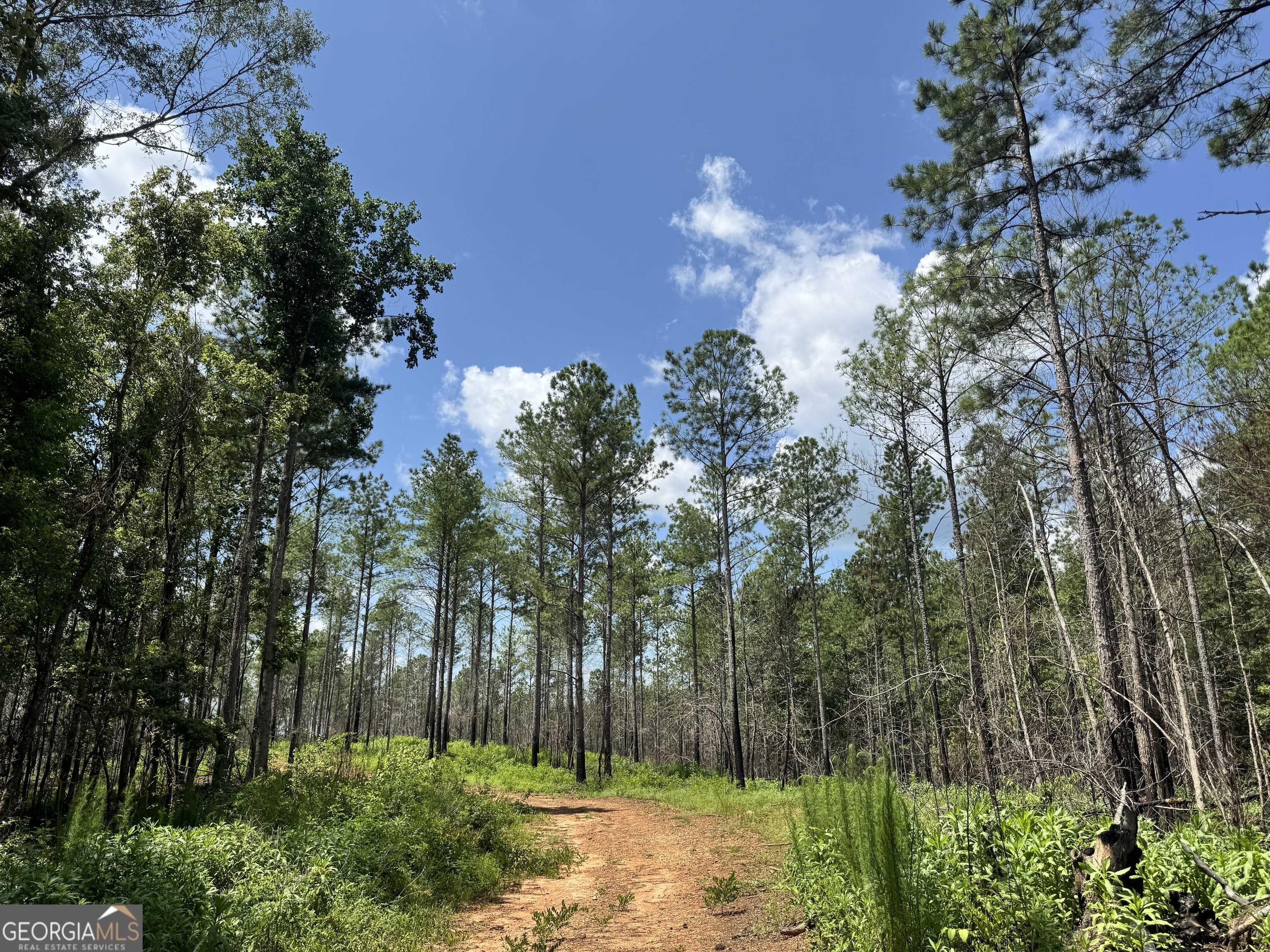 140+/- AC Hwy 100
