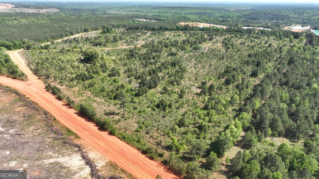 Photo of 0 Old Warrenton Road, Wrens, GA 30833 (MLS # 10766942)