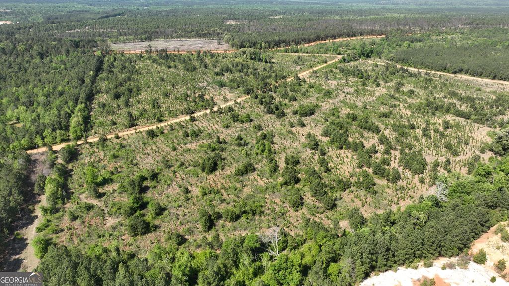 Photo of 0 Old Warrenton Road, Wrens, GA 30833 (MLS # 10766942)