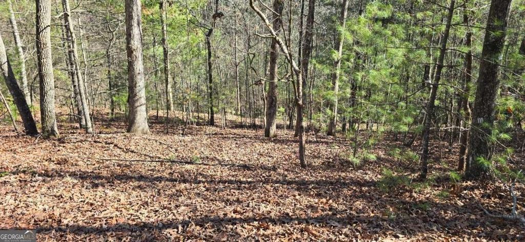 Photo of 12 Oak Loop #12, Mineral Bluff, GA 30559 (MLS # 10696611)