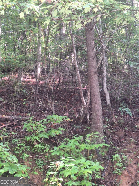 Photo for 0 Coopers Creek RD
