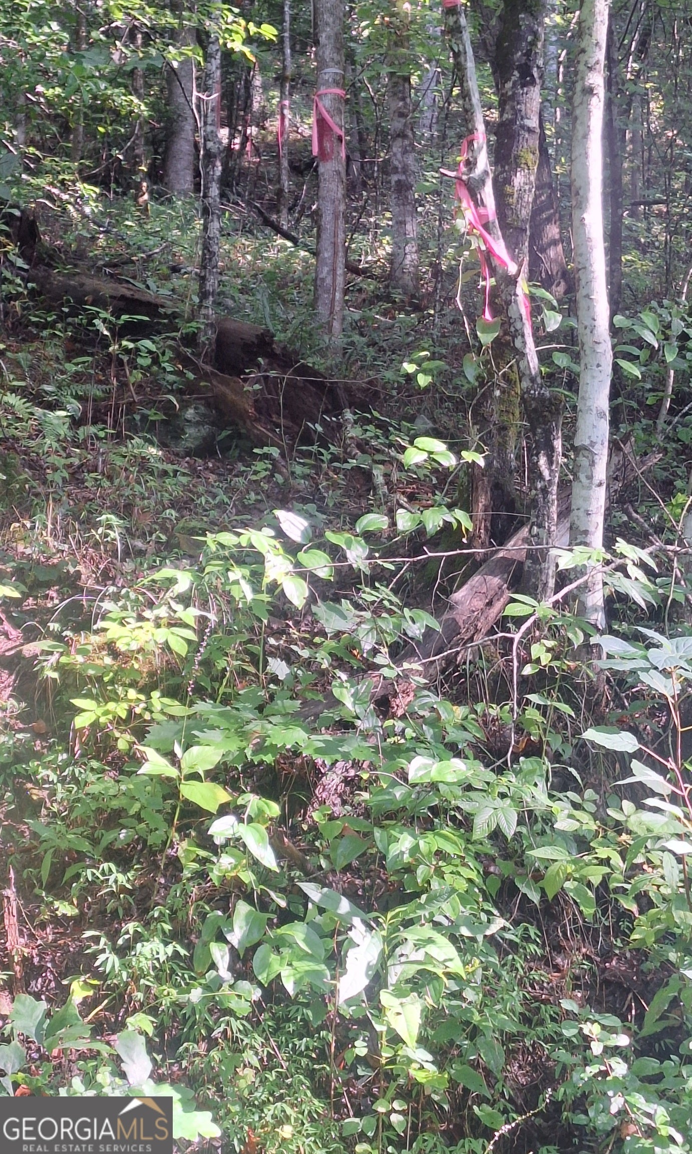 0 Coopers Creek RD