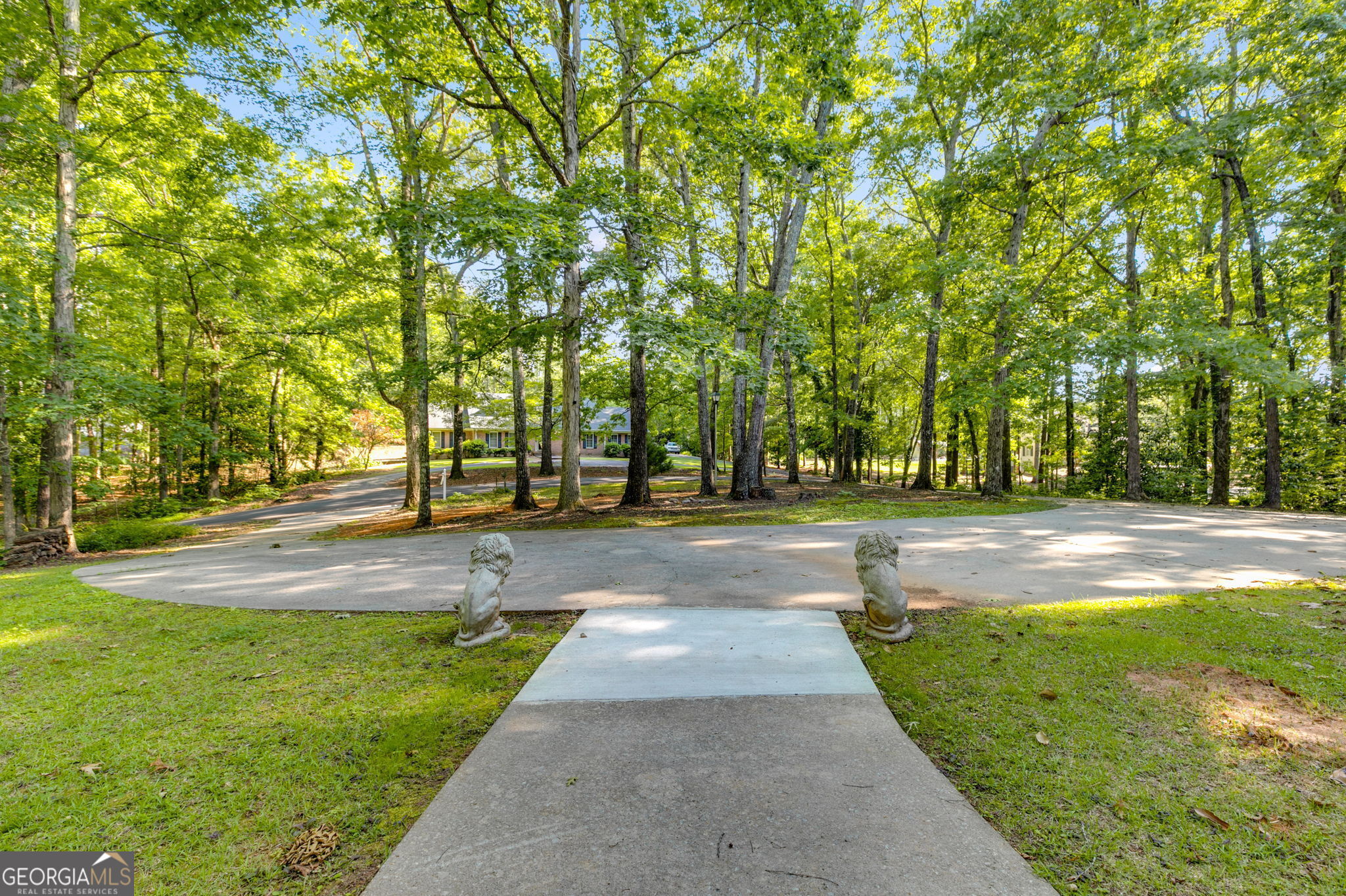 4 Dogwood TRL