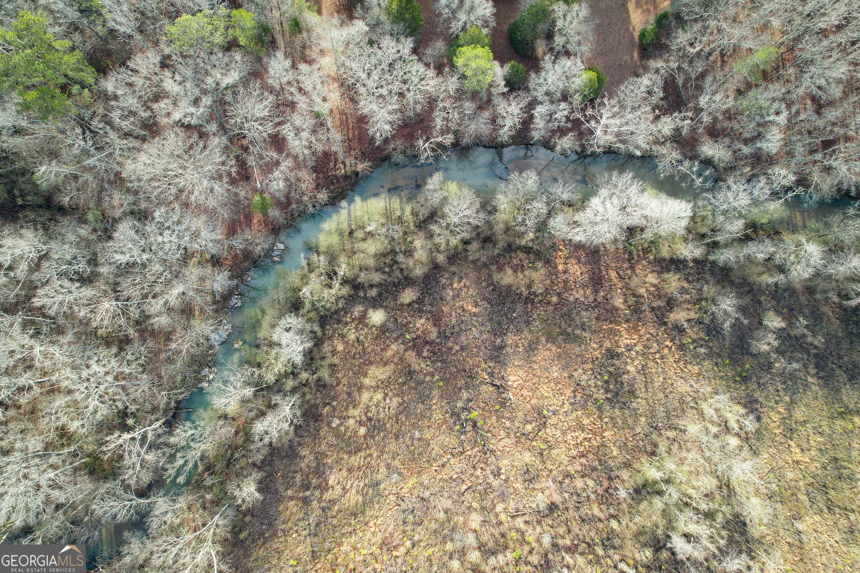142 Acres on Judkin Mill RD