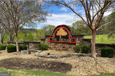 Photo of 0 Crabapple Road, Clarkesville, GA 30523 (MLS # 10606059)