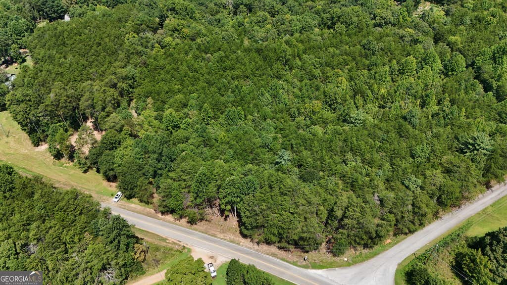Photo of 1 Tesnatee Gap Valley Rd, Cleveland, GA 30528 (MLS # 10829675)