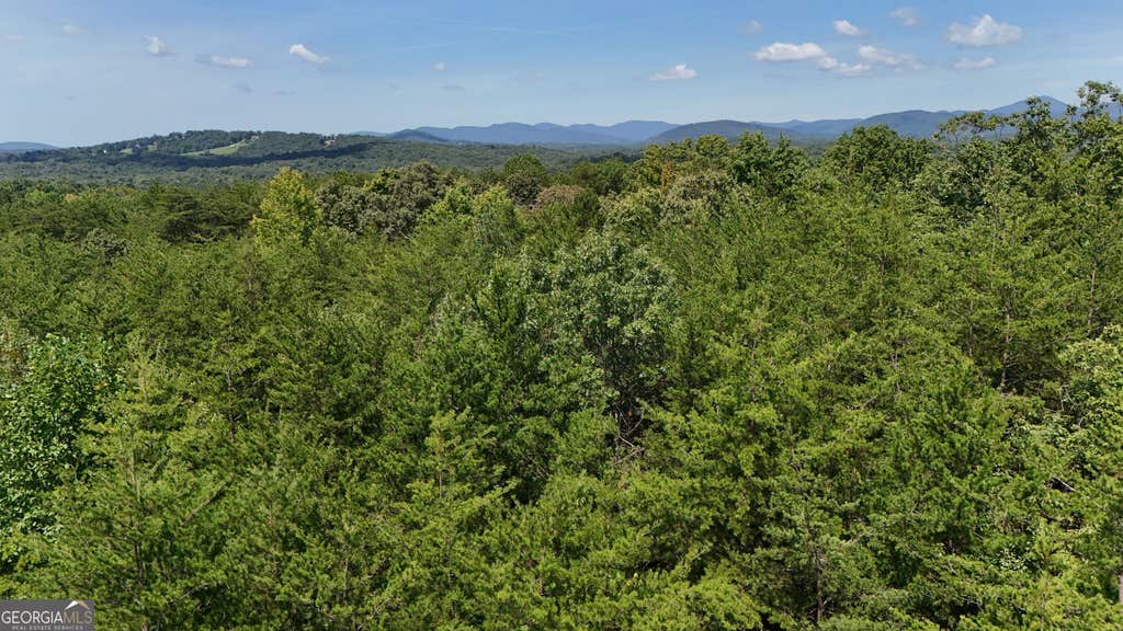 Photo of 1 Tesnatee Gap Valley Rd, Cleveland, GA 30528 (MLS # 10829675)
