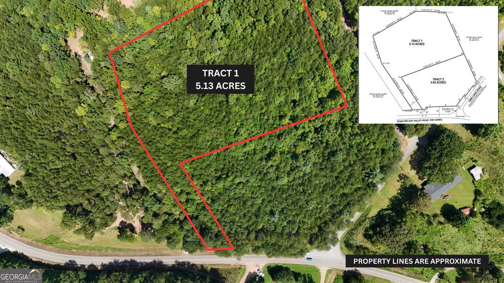 Photo of 1 Tesnatee Gap Valley Rd, Cleveland, GA 30528 (MLS # 10829675)