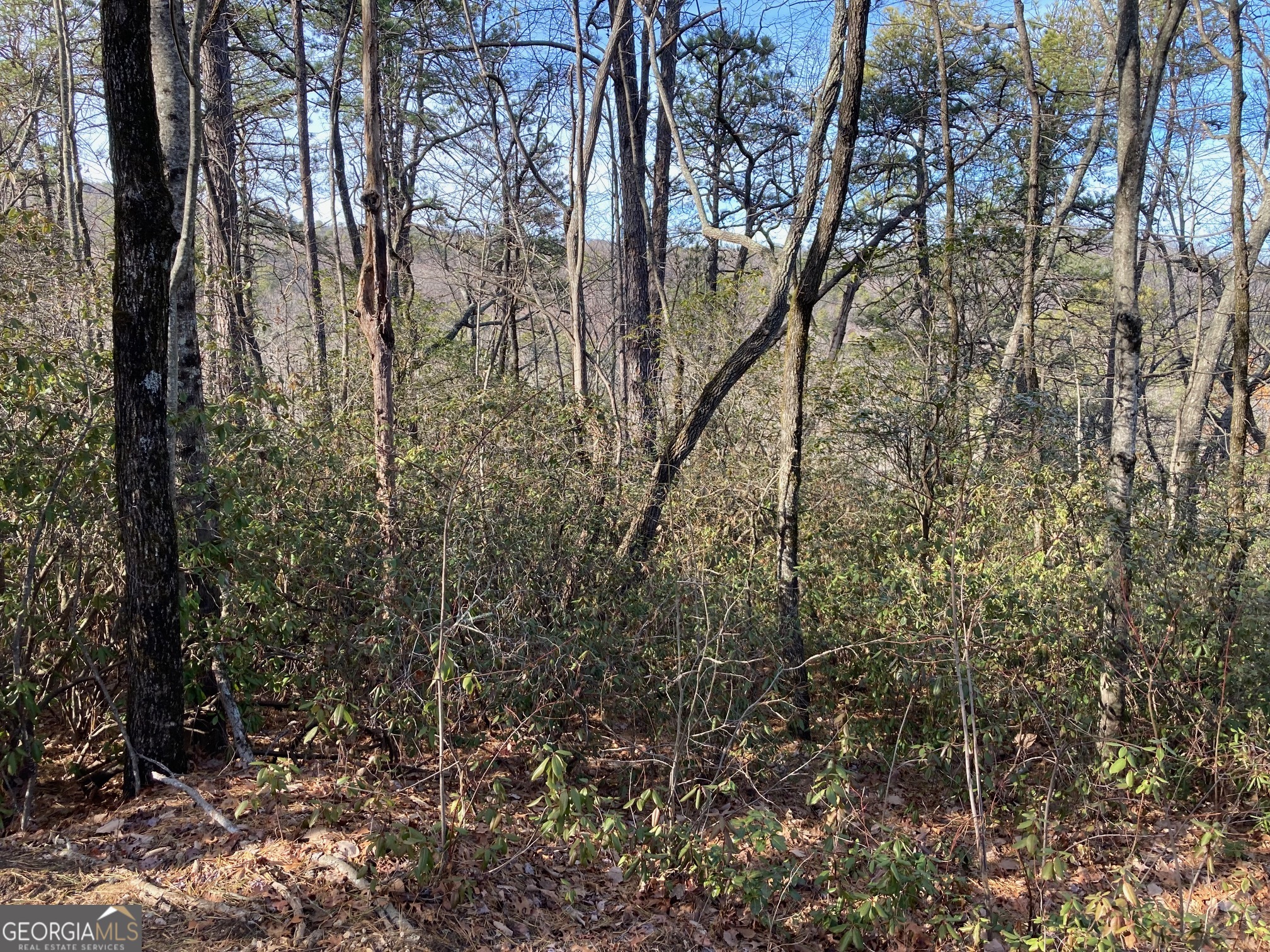 Located in the NE Ga mountains, close to Glen Ella Springs, this beautiful 2.36 +/- acre wooded property has exquisite mountain views. The sloped lot is perfect for a terrace level home below the main living area. The HOA fee includes water. All utilities are on site. The property is located just minutes from downtown Clarkesville and close proximity to some of the best eateries and shopping the mountains have to offer. It is a must see, quiet and secluded neighborhood.