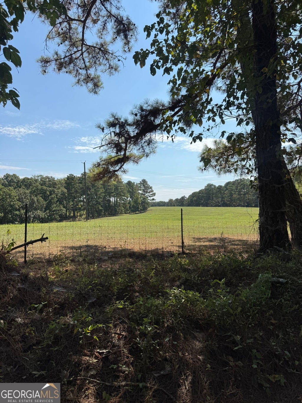 Photo of 2580 Cedar Grove Rd, Buckhead, GA 30625 (MLS # 10850551)