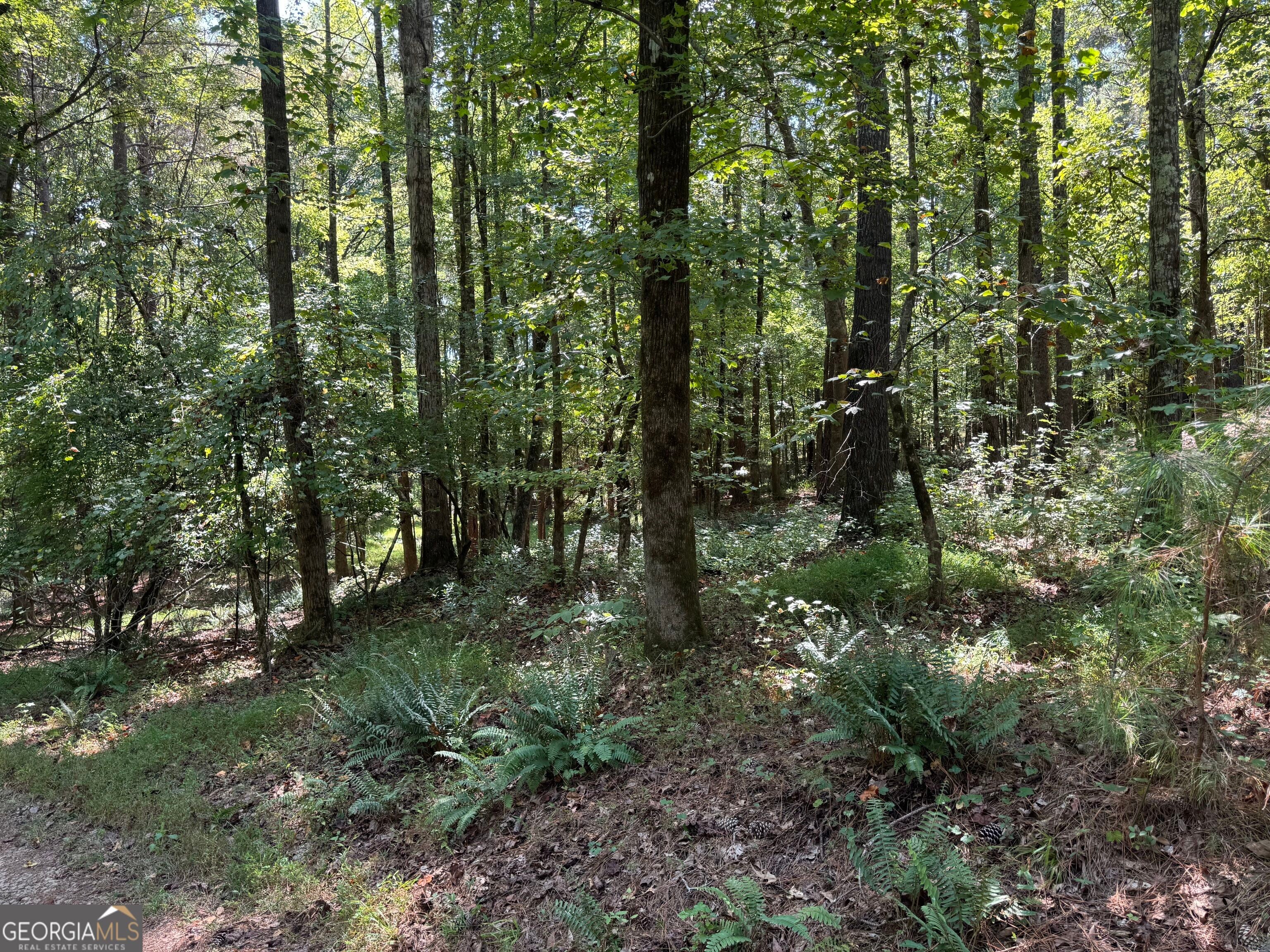 2580 Cedar Grove Road