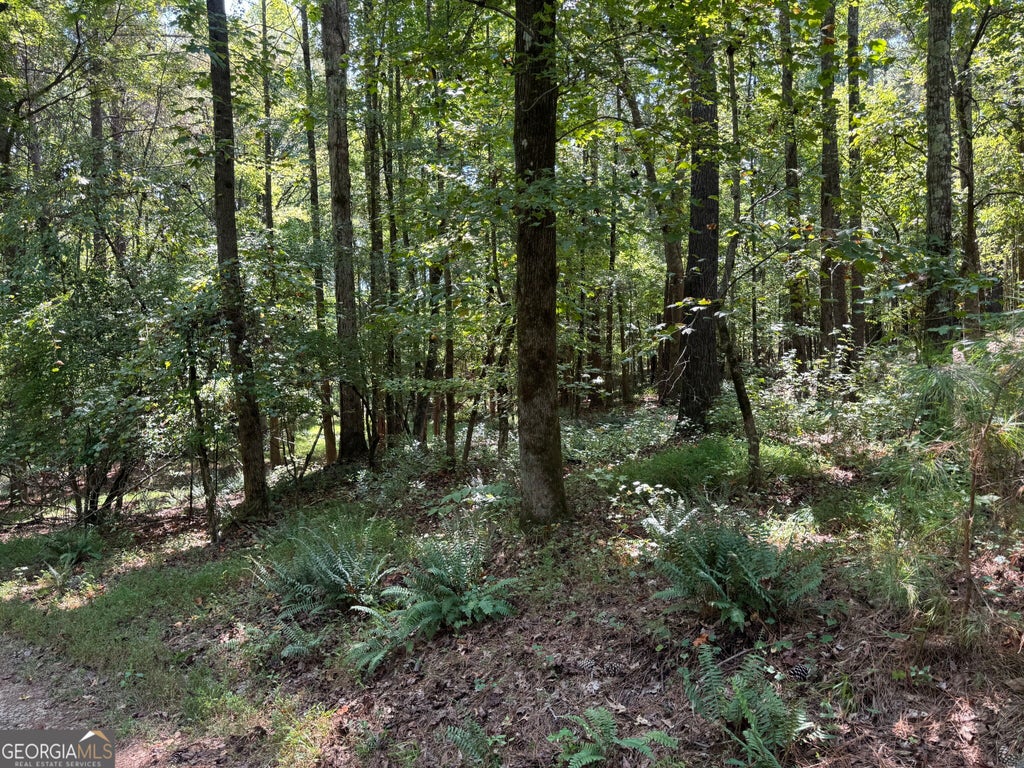 Photo of 2580 Cedar Grove Rd, Buckhead, GA 30625 (MLS # 10850551)