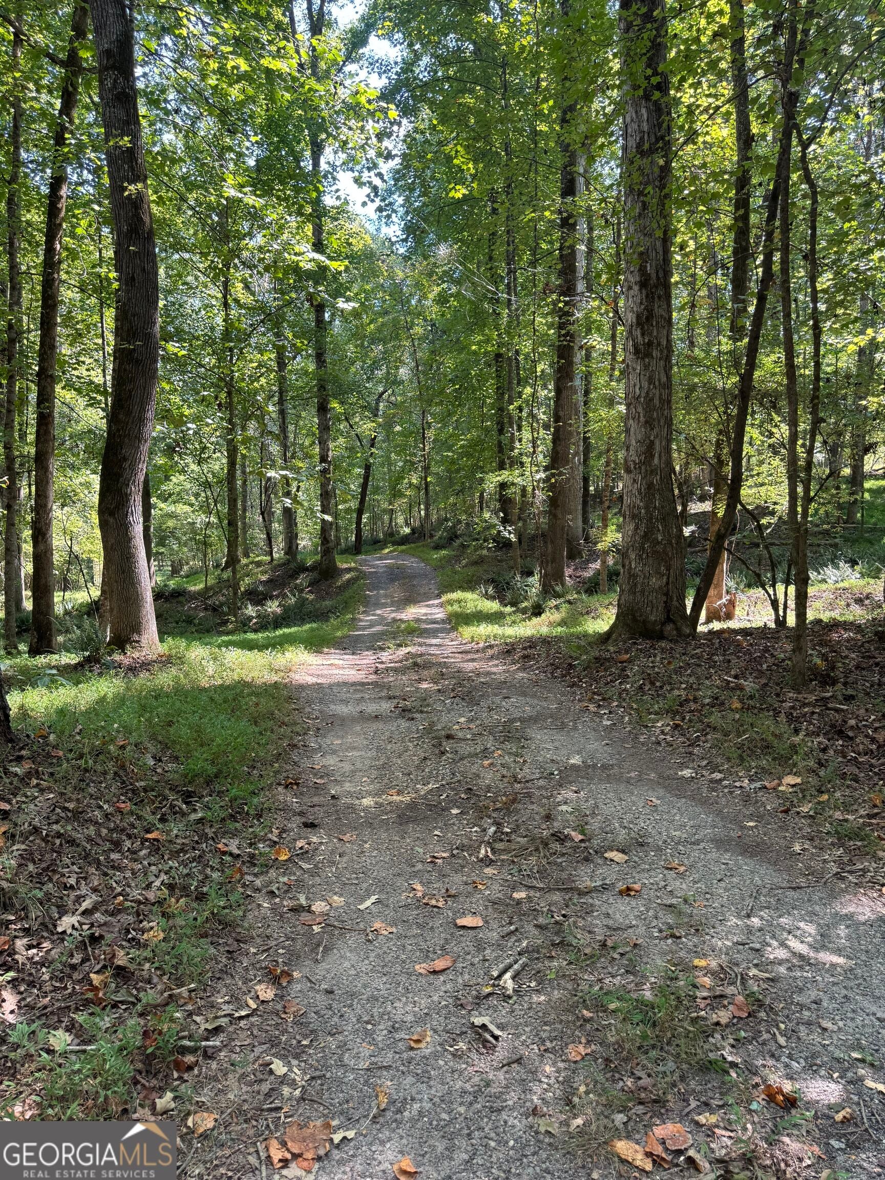 2580 Cedar Grove Road