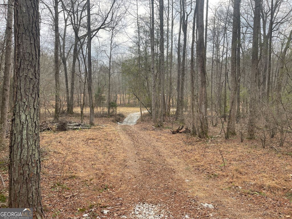 Photo of 0 Whiteside Road, Chatt Hills, GA 30268 (MLS # 10669442)