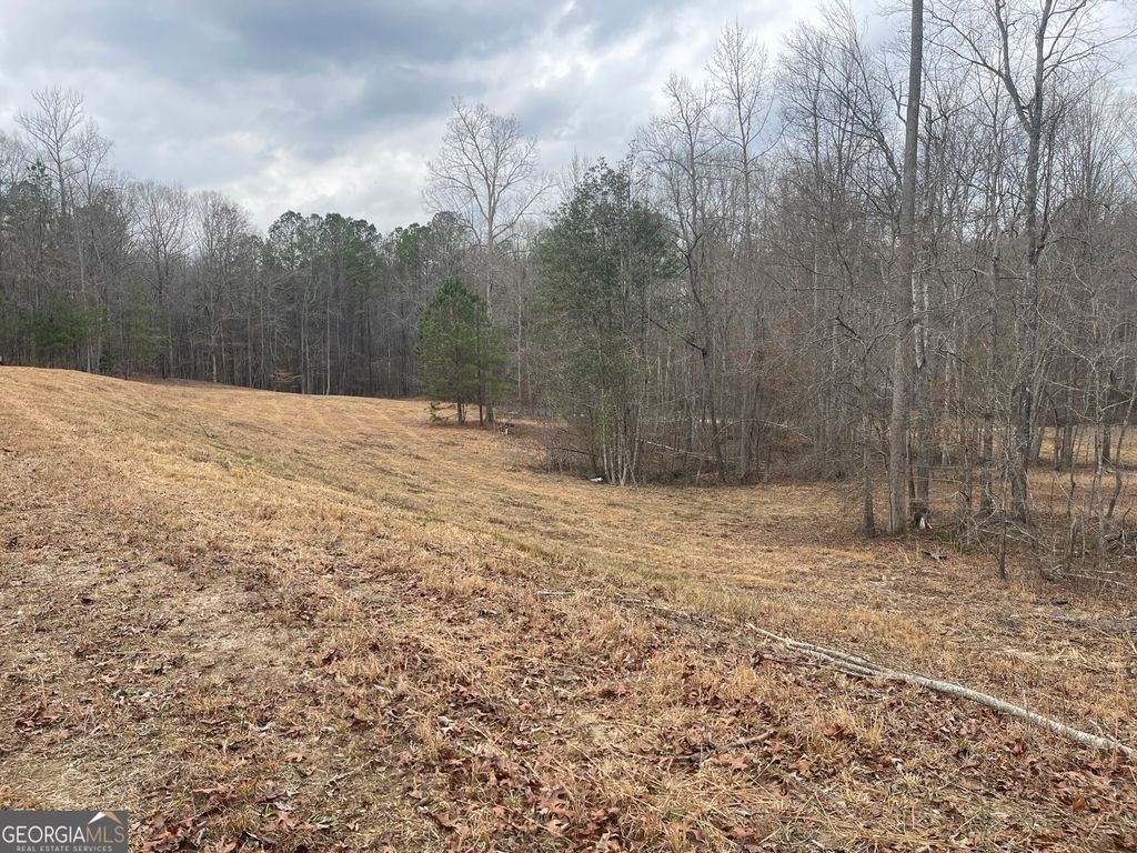 Photo of 0 Whiteside Road, Chatt Hills, GA 30268 (MLS # 10669442)