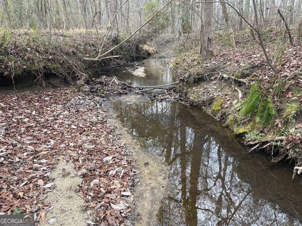 Photo of 0 Whiteside Road, Chatt Hills, GA 30268 (MLS # 10669442)