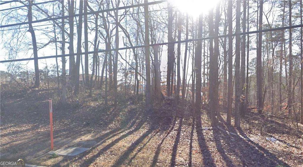 2045 Buford Dam Road