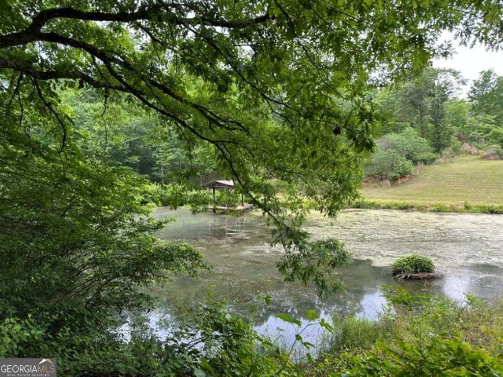 Photo of 4454 Ledan Extension, Gainesville, GA 30506 (MLS # 10769871)