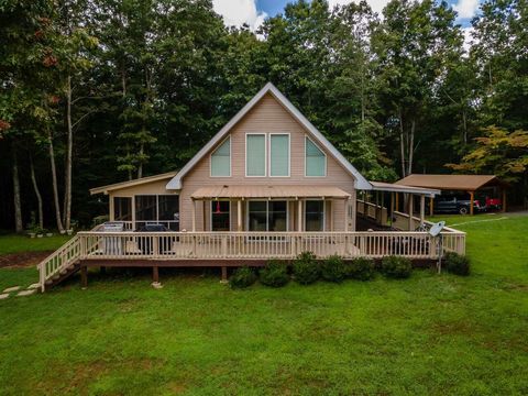 A home in Mineral Bluff