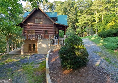 A home in Mineral Bluff