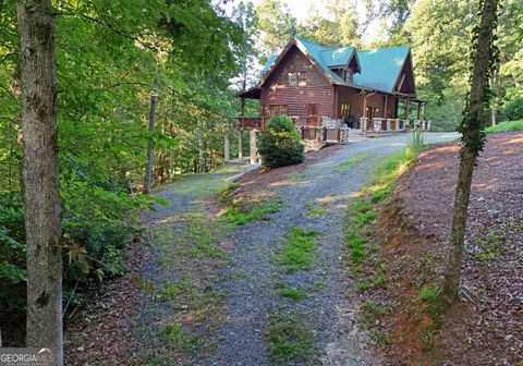 A home in Mineral Bluff